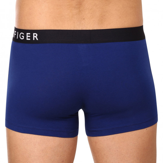 3PACK boxer uomo Tommy Hilfiger multicolore (UM0UM02202 0TW)