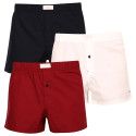 3PACK Boxer da uomo Tommy Hilfiger multicolore (UM0UM02848 0WE)