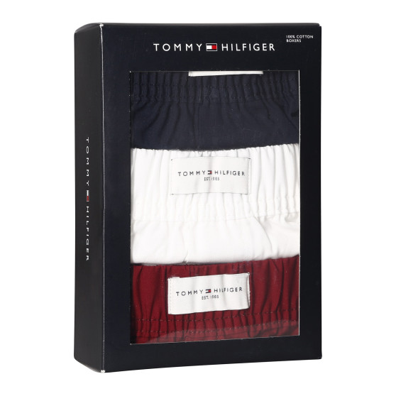 3PACK Boxer da uomo Tommy Hilfiger multicolore (UM0UM02848 0WE)