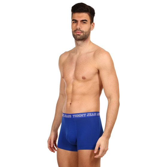 3PACK boxer uomo Tommy Hilfiger multicolore (UM0UM02850 0T8)