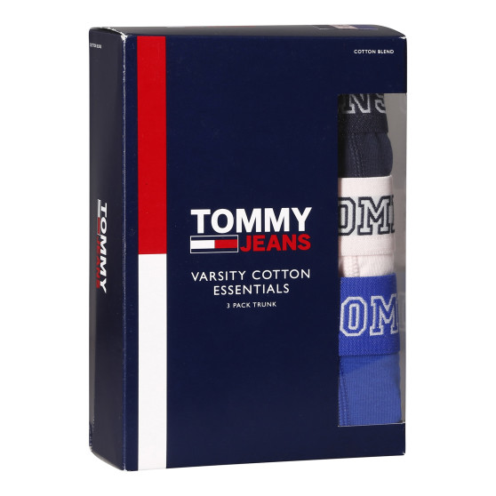 3PACK boxer uomo Tommy Hilfiger multicolore (UM0UM02850 0T8)