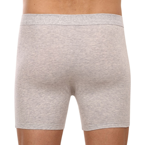 Boxer da uomo Bellinda grigio (BU858445-029)