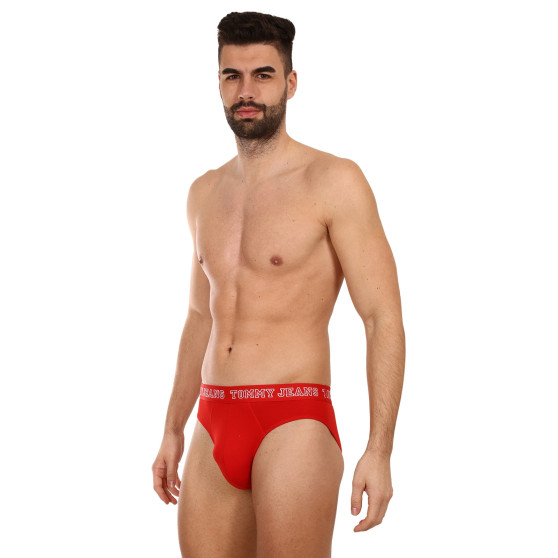 3PACK slip uomo Tommy Hilfiger multicolore (UM0UM02849 0T6)