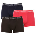 3PACK boxer uomo Tommy Hilfiger multicolore (UM0UM02850 0T0)