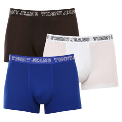 3PACK boxer uomo Tommy Hilfiger multicolore (UM0UM02850 0TV)