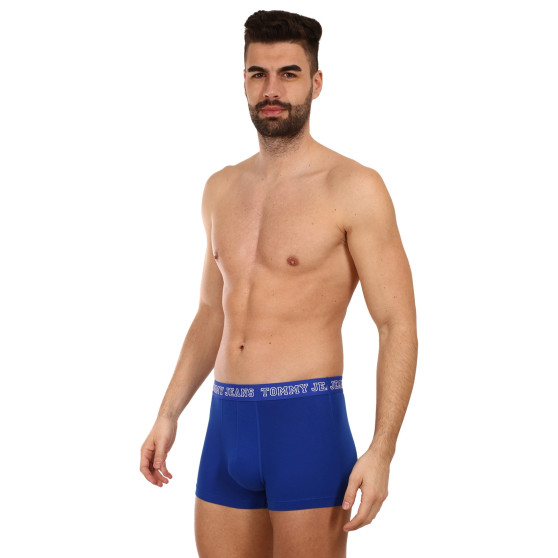 3PACK boxer uomo Tommy Hilfiger multicolore (UM0UM02850 0TV)