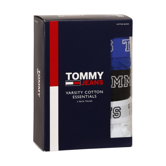 3PACK boxer uomo Tommy Hilfiger multicolore (UM0UM02850 0TV)