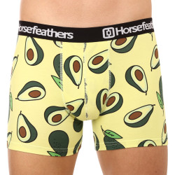 Boxer da uomo Horsefeathers Sidney Avocado (AM164K)