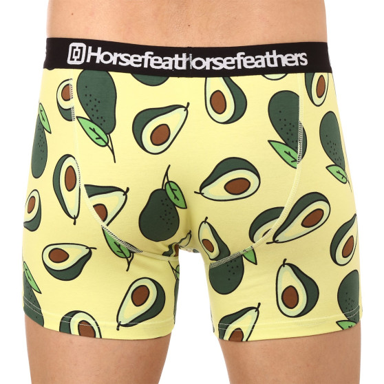 Boxer da uomo Horsefeathers Sidney Avocado (AM164K)