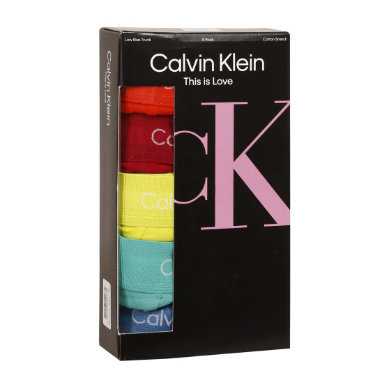 5PACK boxer uomo Calvin Klein multicolore (NB1348A-BNG)