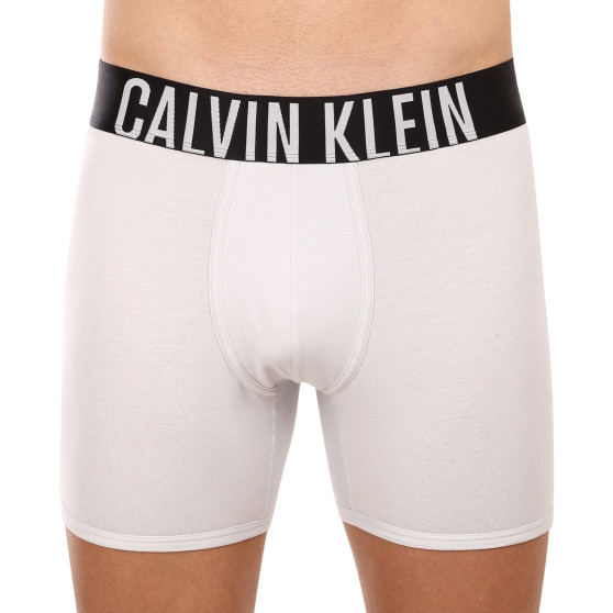 2PACK boxer uomo Calvin Klein multicolore (NB2603A-C2D)