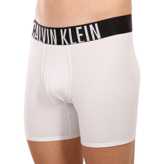 2PACK boxer uomo Calvin Klein multicolore (NB2603A-C2D)