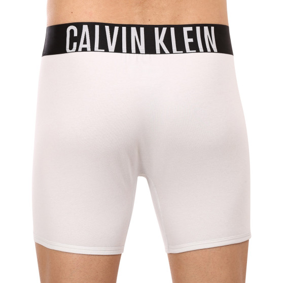 2PACK boxer uomo Calvin Klein multicolore (NB2603A-C2D)