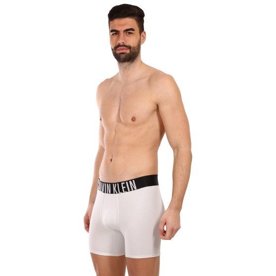 2PACK boxer uomo Calvin Klein multicolore (NB2603A-C2D)