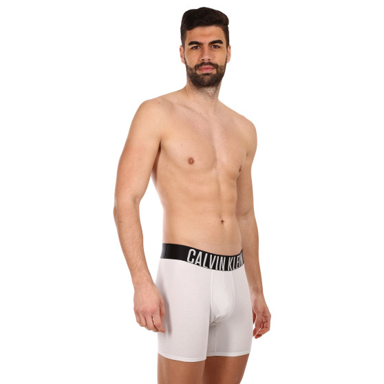 2PACK boxer uomo Calvin Klein multicolore (NB2603A-C2D)