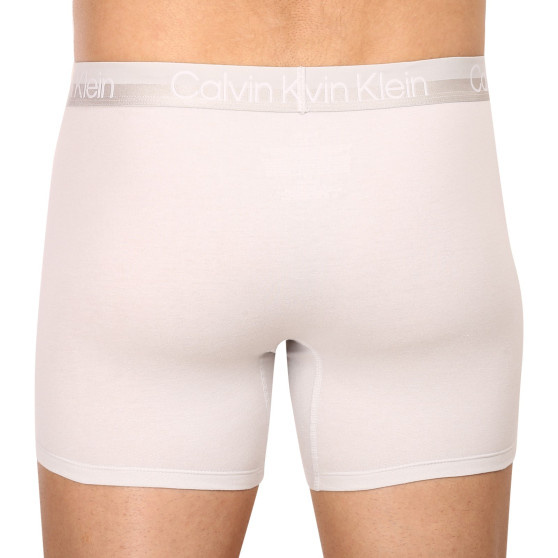 3PACK boxer uomo Calvin Klein multicolore (NB2971A-CBC)