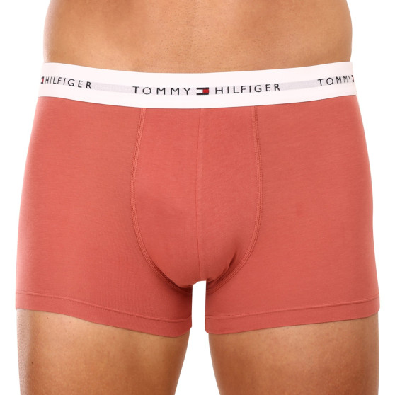 3PACK boxer uomo Tommy Hilfiger multicolore (UM0UM02761 0TF)