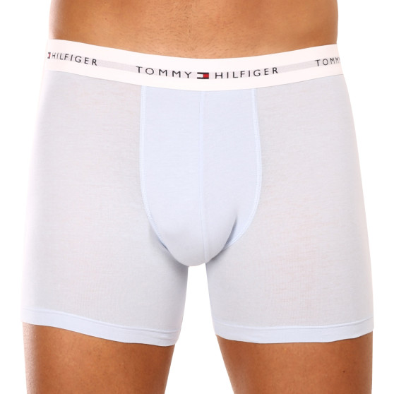 3PACK boxer uomo Tommy Hilfiger multicolore (UM0UM02941 0W8)