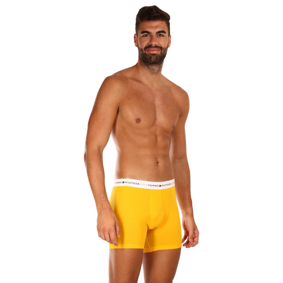 3PACK boxer uomo Tommy Hilfiger multicolore (UM0UM02941 0W8)