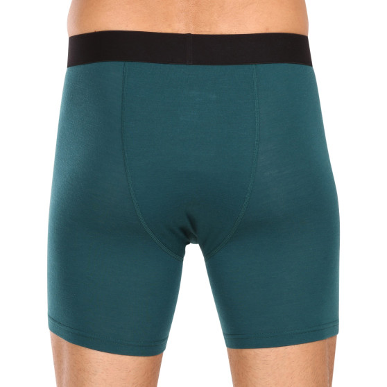 Boxer da uomo Mons Royale verde merino (100088-1169-300)