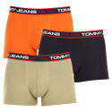 3PACK boxer uomo Tommy Hilfiger multicolore (UM0UM02968 0SP)