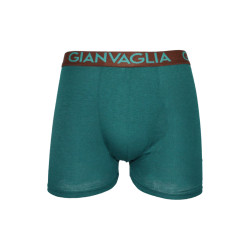 Boxer da uomo Gianvaglia verde (024-green)