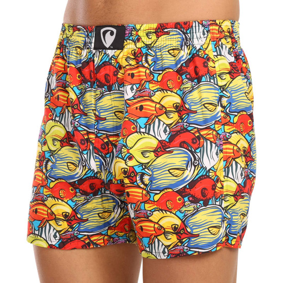 Boxer da uomo Represent esclusiva Ali Aquarium Traffic (R3M-BOX-0630)