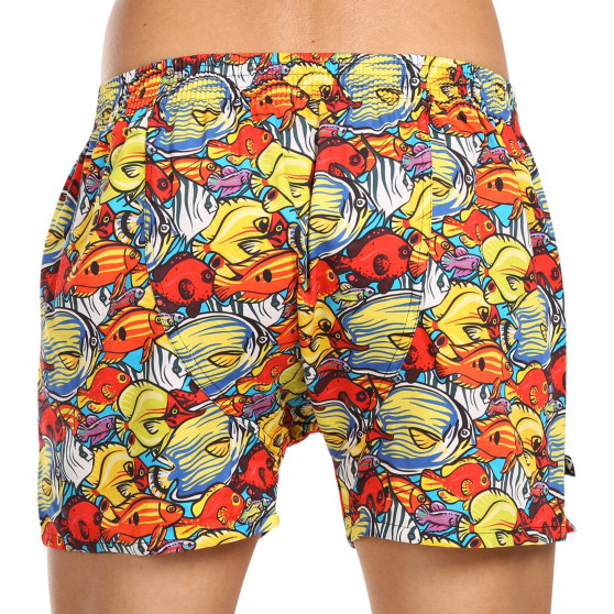 Boxer da uomo Represent esclusiva Ali Aquarium Traffic (R3M-BOX-0630)