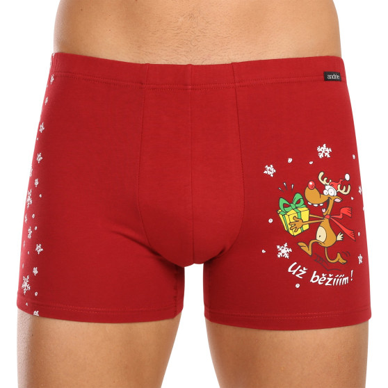 3PACK boxer uomo Andrie multicolore (PS 5779)