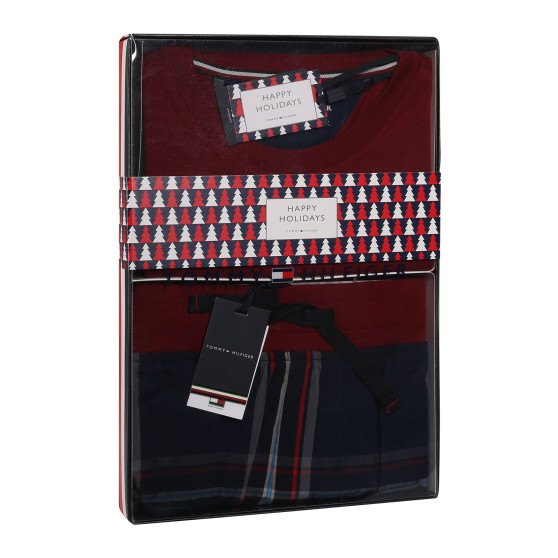 Pigiama da uomo Tommy Hilfiger multicolore (UM0UM02995 0WQ)