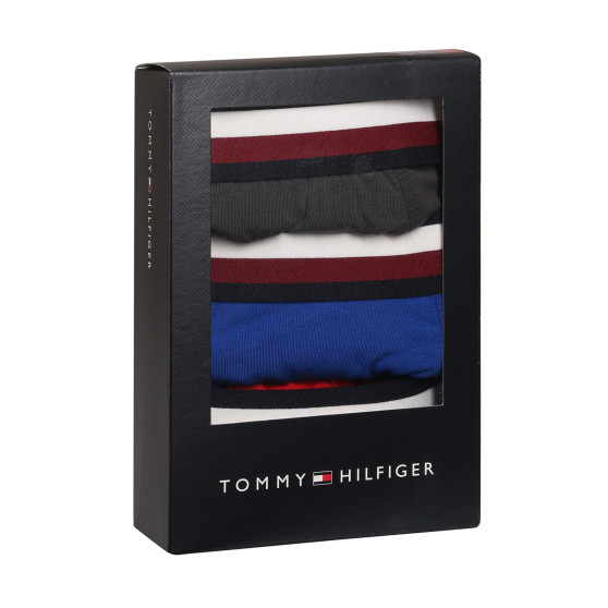 3PACK boxer uomo Tommy Hilfiger multicolore (UM0UM03035 0UG)