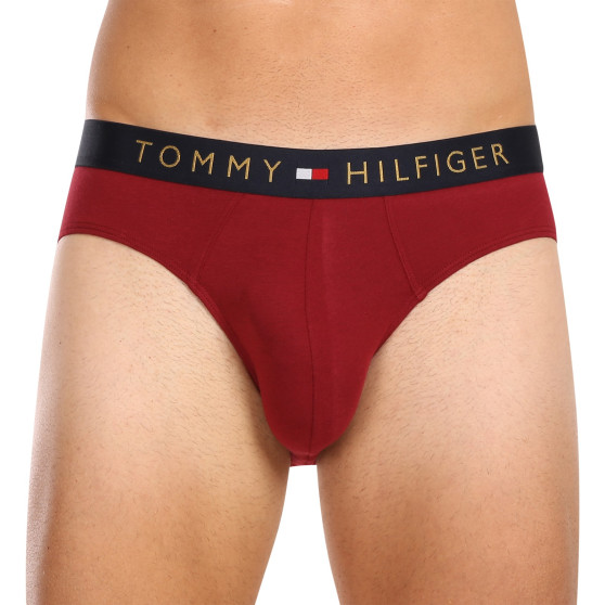 5PACK slip uomo Tommy Hilfiger multicolore (UM0UM03037 0WJ)