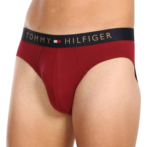 5PACK slip uomo Tommy Hilfiger multicolore (UM0UM03037 0WJ)