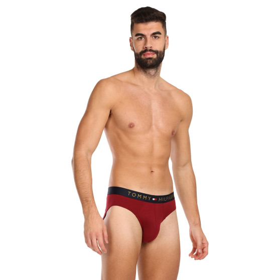 5PACK slip uomo Tommy Hilfiger multicolore (UM0UM03037 0WJ)