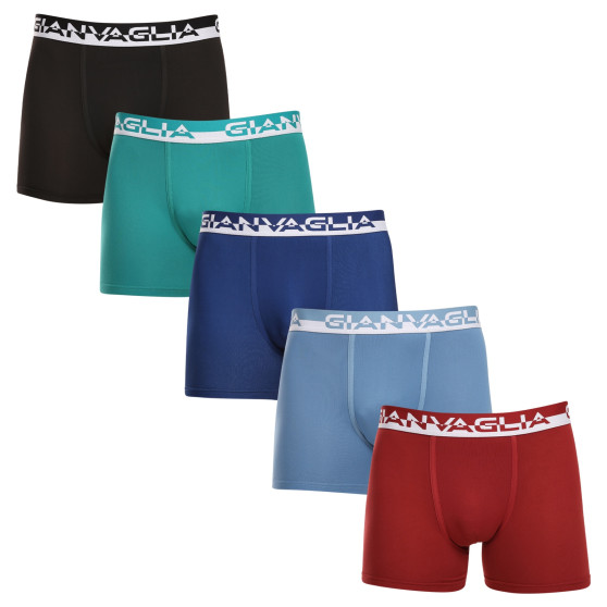 5PACK boxer uomo Gianvaglia multicolore (GVG-5011)