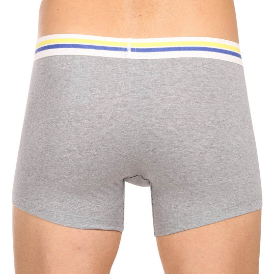 2PACK boxer uomo Levis multicolore (701222843 009)