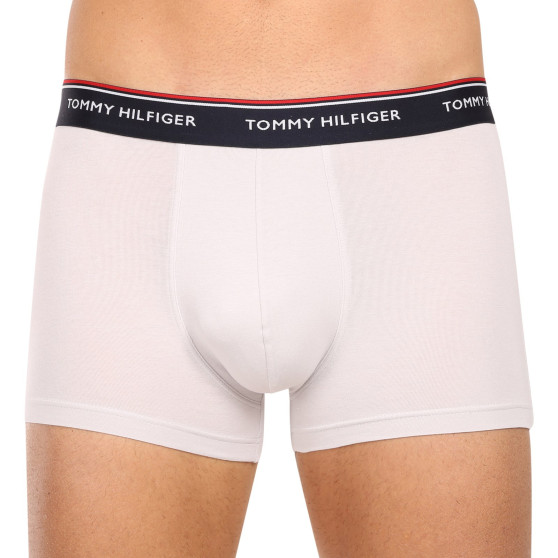 3PACK boxer uomo Tommy Hilfiger multicolore (1U87903842 0Y0)