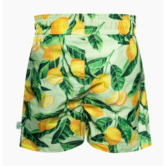 Costumi da bagno allegri per ragazzi Dedoles Lemons (D-K-SCL-S-SSH-C-1259)