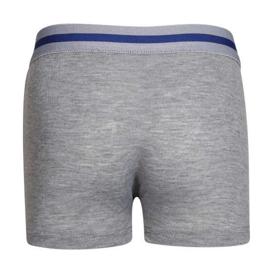 Boxer per bambini Gianvaglia grigio (023)