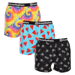 3PACK Boxer da uomo Horsefeathers Frazier Bundle 3 (AM096E)