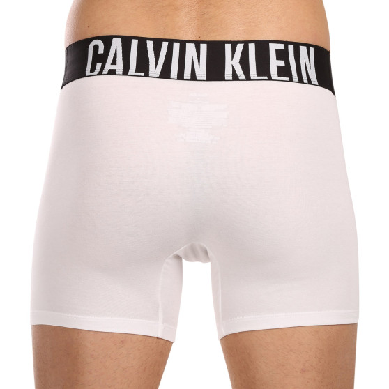 3PACK boxer uomo Calvin Klein multicolore (NB3609A-MP1)