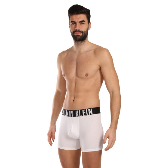 3PACK boxer uomo Calvin Klein multicolore (NB3609A-MP1)