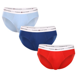 3PACK slip uomo Tommy Hilfiger multicolore (UM0UM02764 0XZ)