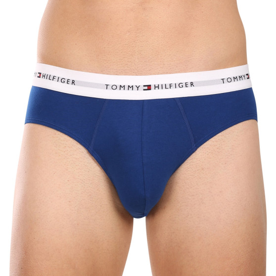 3PACK slip uomo Tommy Hilfiger multicolore (UM0UM02764 0XZ)