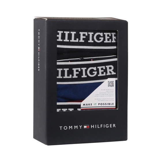 3PACK boxer uomo Tommy Hilfiger multicolore (UM0UM03185 0SX)