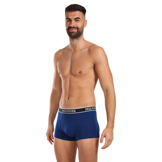 3PACK boxer uomo Tommy Hilfiger multicolore (UM0UM03185 0YZ)