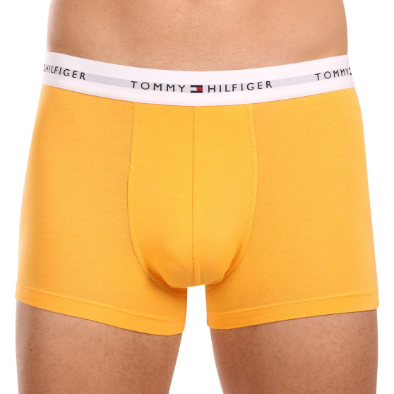 3PACK boxer uomo Tommy Hilfiger multicolore (UM0UM02761 0VI)