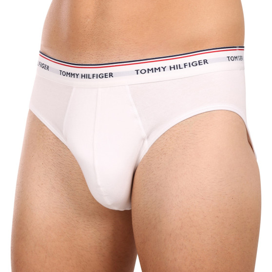 3PACK slip uomo Tommy Hilfiger multicolore (1U87903766 004)