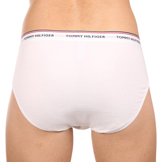 3PACK slip uomo Tommy Hilfiger multicolore (1U87903766 004)