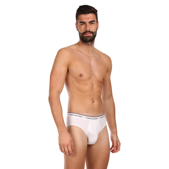 3PACK slip uomo Tommy Hilfiger multicolore (1U87903766 004)